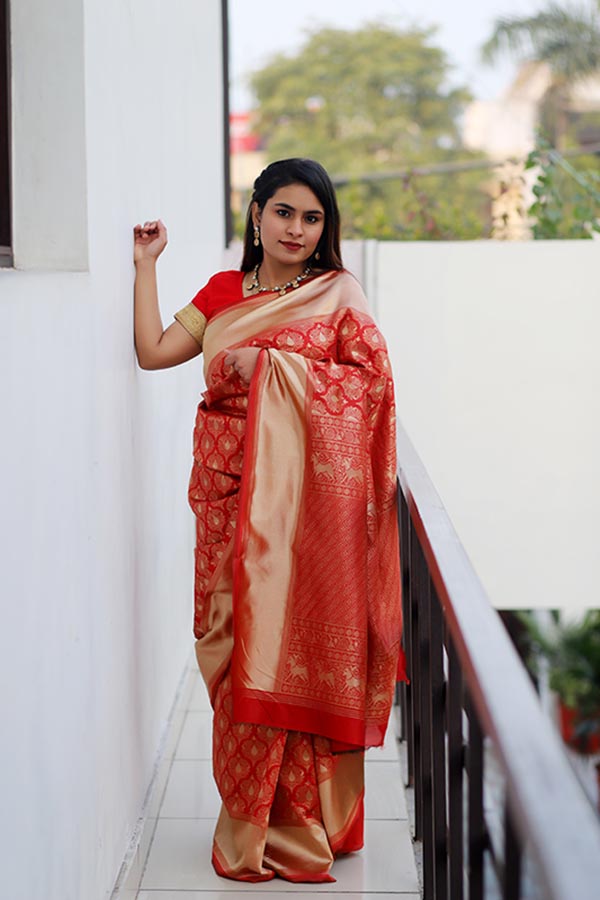 Red Banarasi Kadhwa Weave Silk Saree with Gold Motifs - D'Arka Ensemble